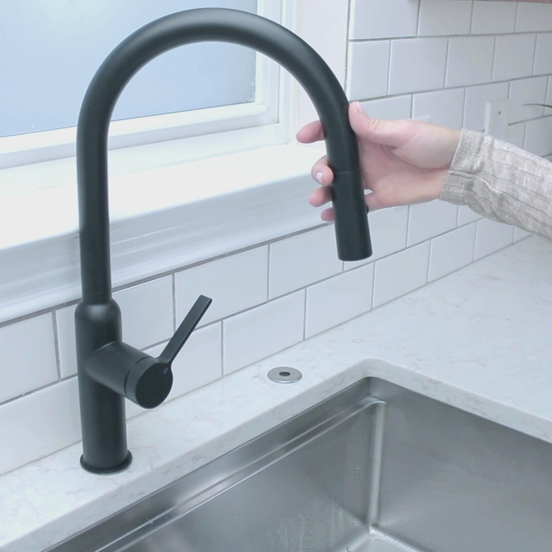 Matte black stainless steel Claudette Kitchen Faucet