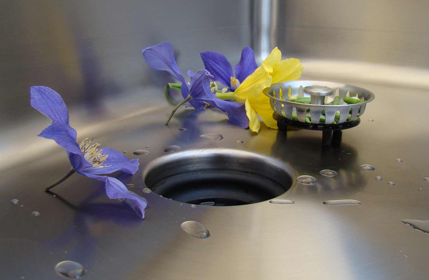 Close-up of a stainless steel sink with a Seamless Drain and Disposal Kit strainer basket, highlighting its sleek and functional design.